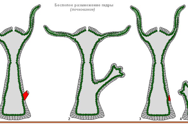 Кракен рабочий сайт