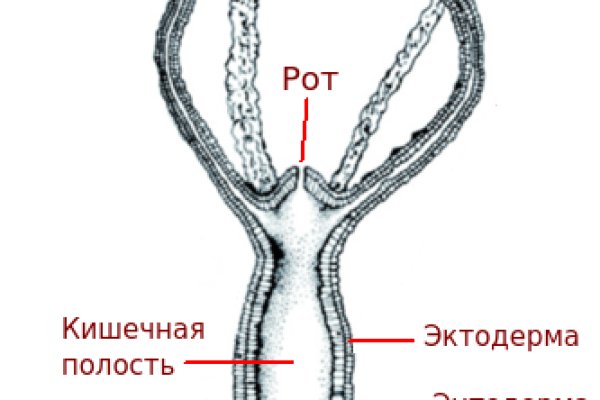 Кракен магазин vk2 top